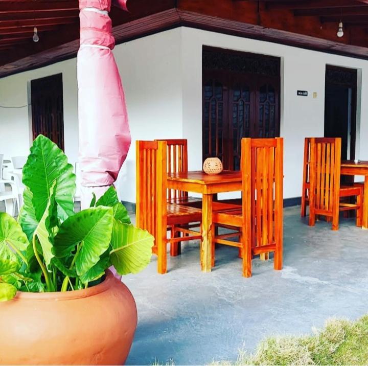 Tharurashmi Sea Pond Villa & Surf Hostel - Hiriketiya Dickwella Exterior foto